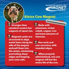 Load image into Gallery viewer, COW-CP5MAGX10 Alnico Cow Magnets (10pk) - Top View x10