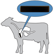 Load image into Gallery viewer, COW-SCM7C Ceramic Cow Magnet - Front View