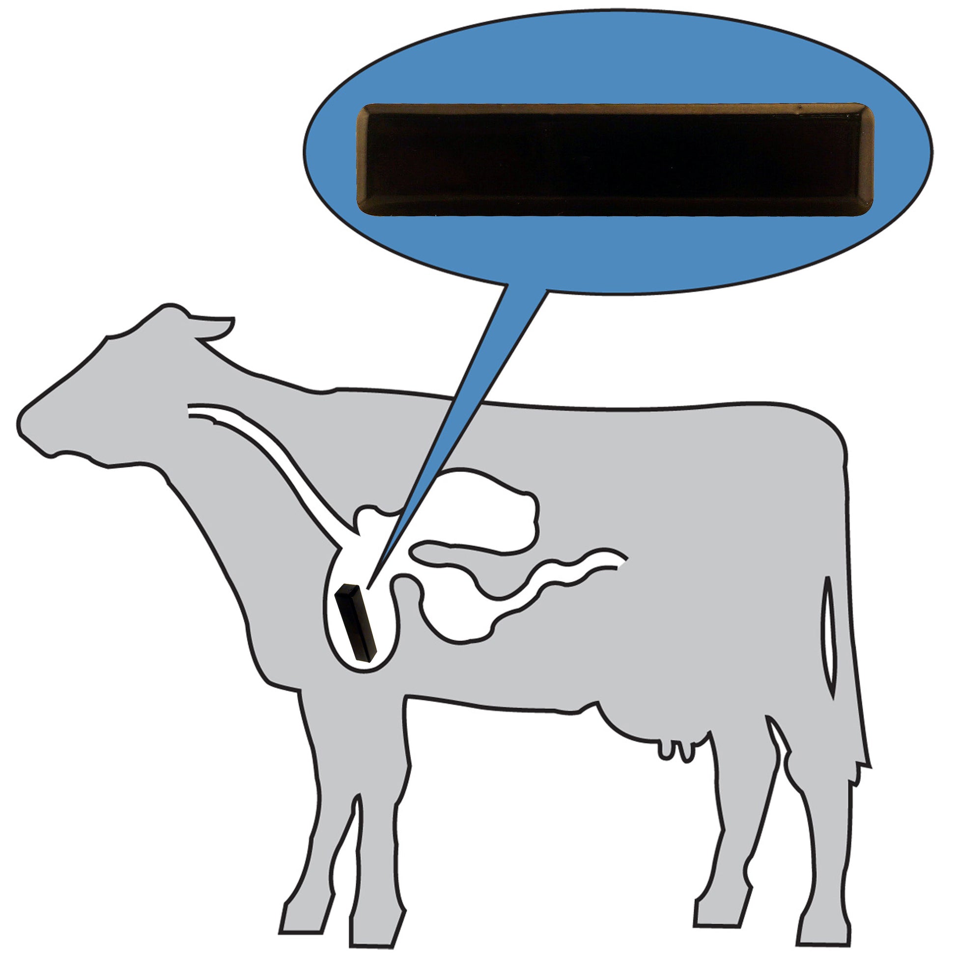 Load image into Gallery viewer, COW-SCM7CX50BX Ceramic Cow Magnets (50pk) - Side View