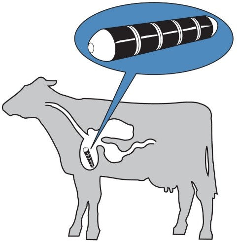 Attractive Prevention- Why Choose Cow Magnets