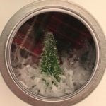 Magnetic Snow Globes