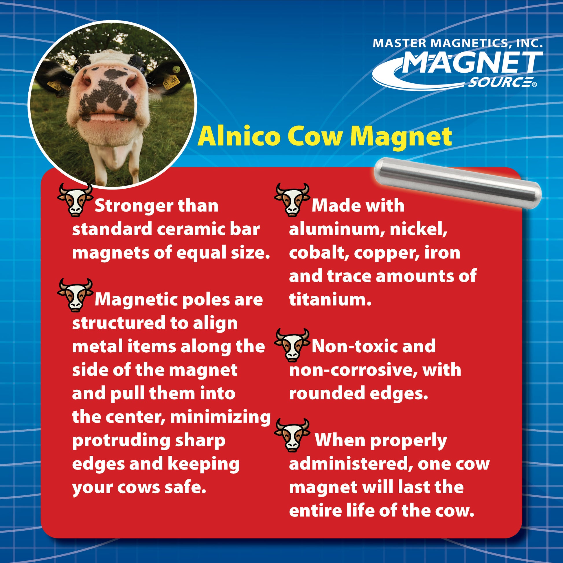 Load image into Gallery viewer, 07239 Alnico Cow Magnets (2pk) - Top View