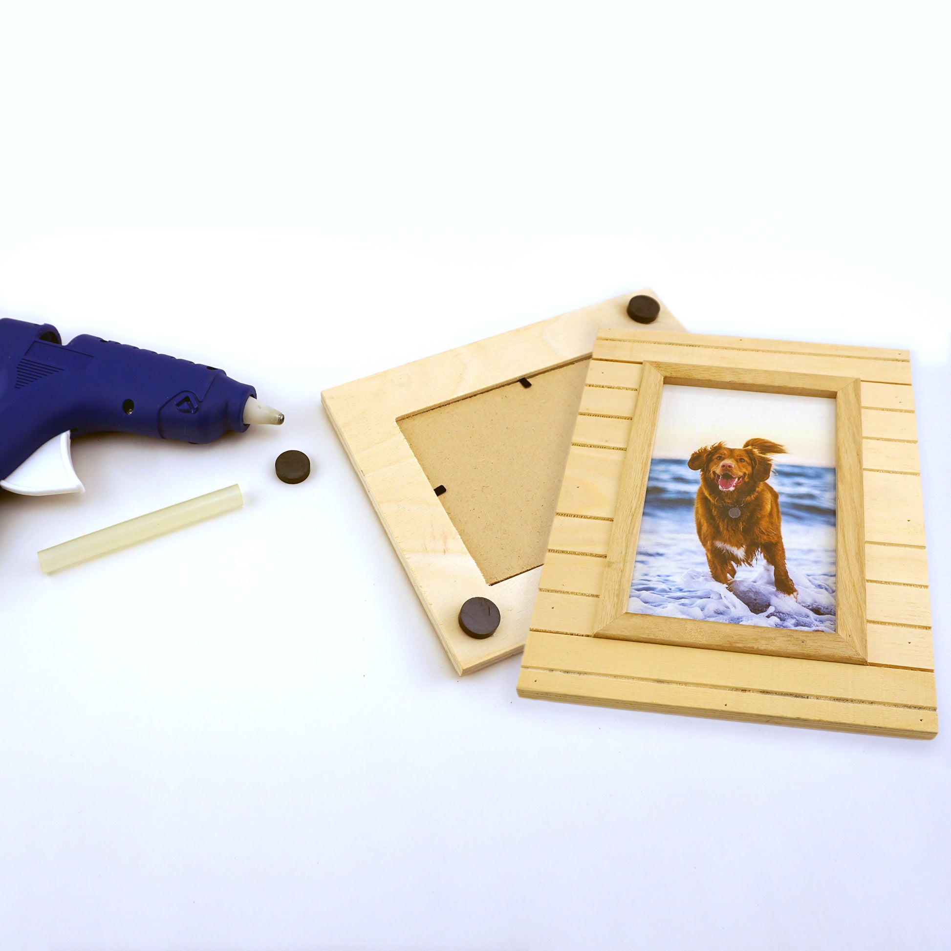 Load image into Gallery viewer, 07049 Ceramic Disc Magnets (51pk) - Picture Frame with Magnets and Glue Gun