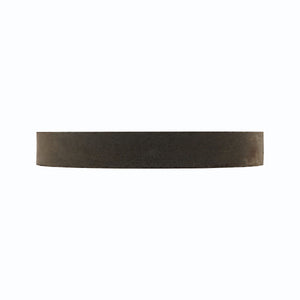 CR012300 Ceramic Ring Magnet - Side View