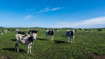 Agriculture Industry Magnets