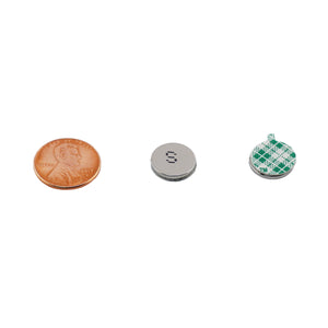 FSND50S Neodymium Disc Magnet with Adhesive - Compared to Penny for Size Reference