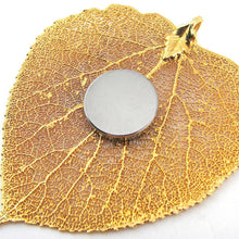 Load image into Gallery viewer, 07526 Neodymium Disc Magnets with Adhesive (12pk) - In Use