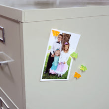 Load image into Gallery viewer, 07510 Neodymium Magnetic Push Pins (10pk) - In Use