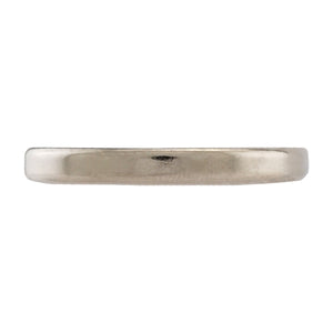 NR010025NS01 Neodymium Ring Magnet - Side View