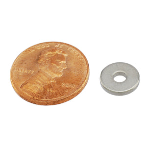 NR152N-35 Neodymium Ring Magnet - Compared to Penny for Size Reference