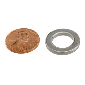 NR741N-30 Neodymium Ring Magnet - Compared to Penny for Size Reference