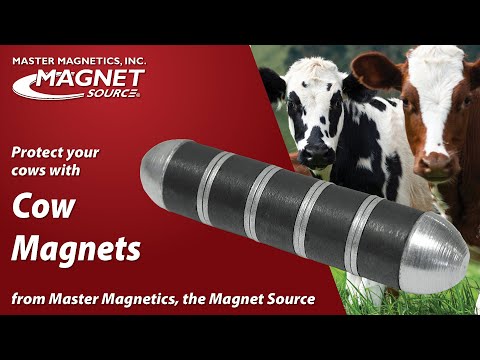 Load image into Gallery viewer, Alnico Cow Magnets (10pk)